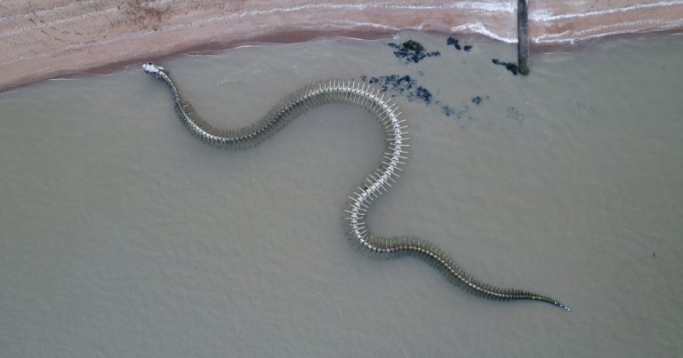 Sea Serpent