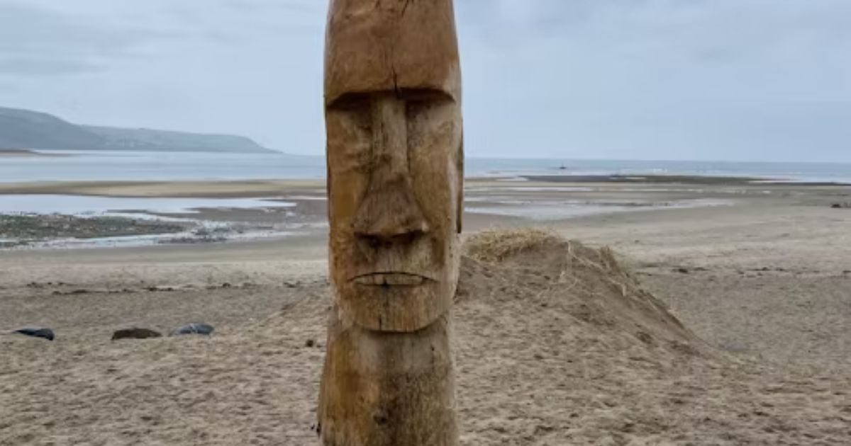 Animal Totem